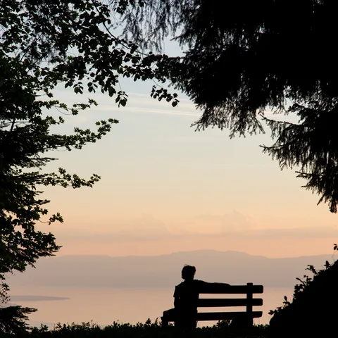 Figure on a bench at sunset — Nicolas Marincic