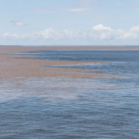 Meeting of the waters of the Tapajós and the Amazon, Brazil — Nicolas Marincic