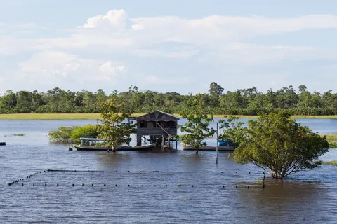 Flooded house in the Amazon várzea, Brazil — Nicolas Marincic