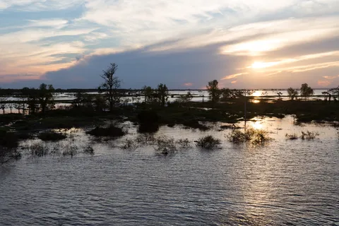 Flooded plain at sunset on the Amazon, Brazil — Nicolas Marincic