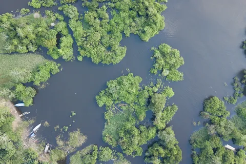 Flooded forest of the Solimões from the air, Brazil — Nicolas Marincic