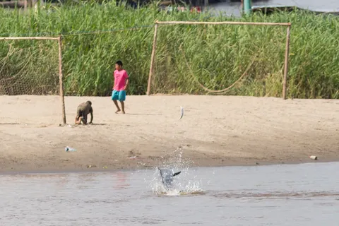 Boys’ football match as a pink river dolphin leaps, Solimões, Brazil — Nicolas Marincic