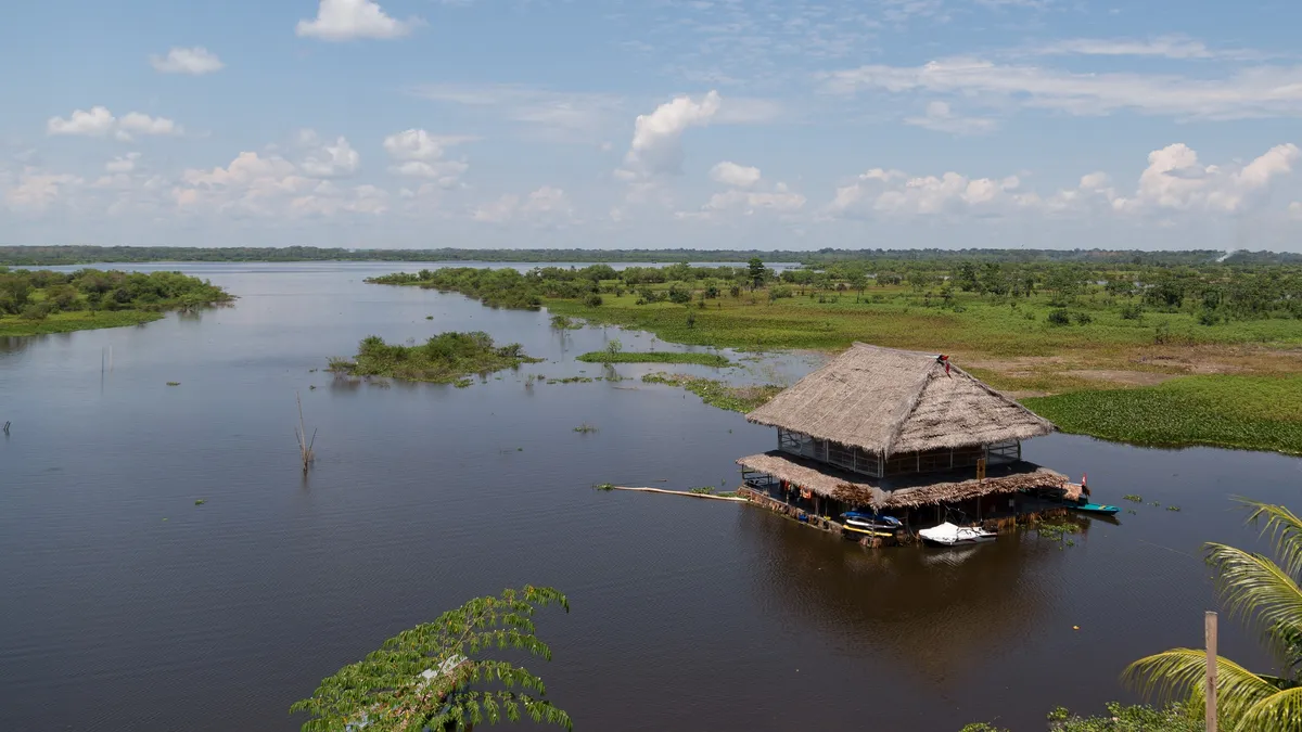 Thatched hut on the flooded plain near Iquitos, Peru — Nicolas Marincic