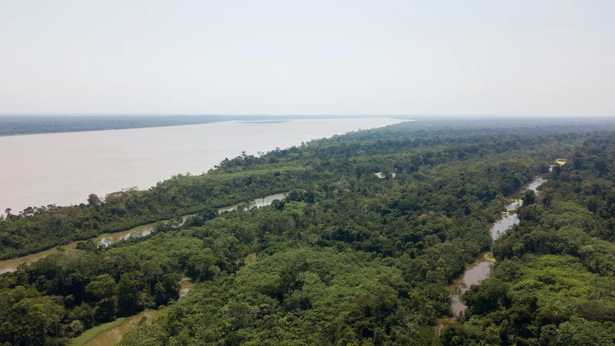 The Amazon from the air near Iquitos, Peru — Nicolas Marincic