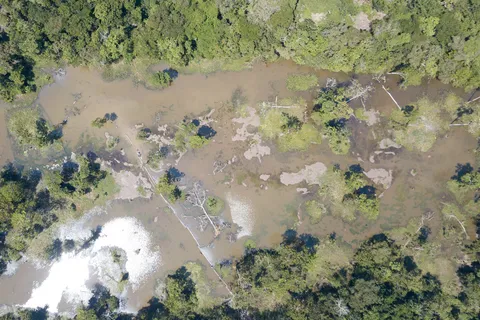 Flooded forest seen from above, Peru — Nicolas Marincic