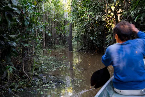 Paddling a canoe through flooded forest near Iquitos, Peru — Nicolas Marincic