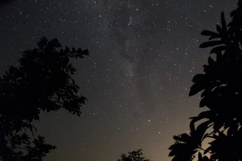 Milky Way over the jungle near Iquitos, Peru — Nicolas Marincic