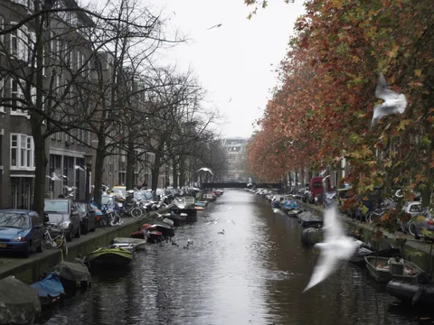 Gulls over a canal in autumn, Amsterdam, Netherlands — Nicolas Marincic