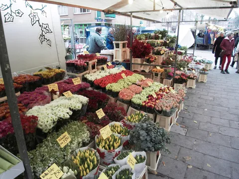 Flower stall at Albert Cuyp market, Amsterdam, Netherlands — Nicolas Marincic