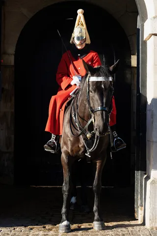 Household Cavalry trooper in his sentry box, Horse Guards, United Kingdom — Nicolas Marincic