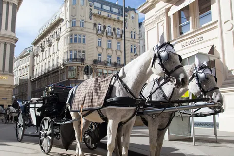 Fiaker horses on Michaelerplatz, Vienna, Austria — Nicolas Marincic