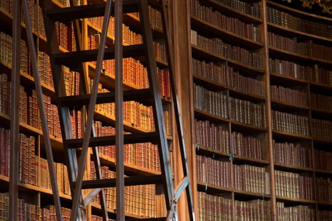 Bookshelves and ladder, Austrian National Library, Vienna, Austria — Nicolas Marincic