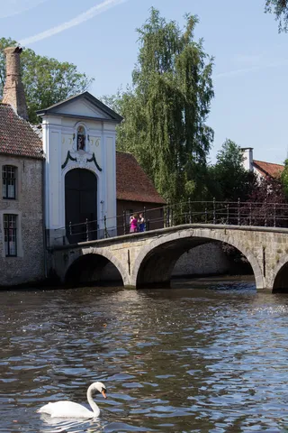 Pont du béguinage et cygne, Bruges, Belgique — Nicolas Marincic