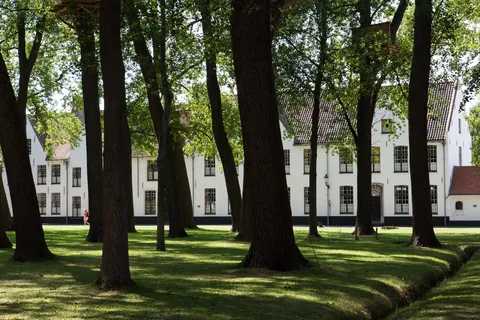 Trees and white houses of the Beguinage, Bruges, Belgium — Nicolas Marincic