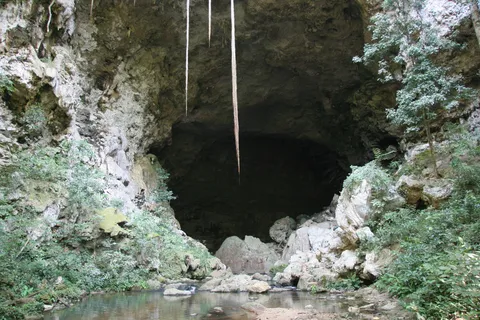 Río Frío Cave, Mountain Pine Ridge, Belize — Nicolas Marincic
