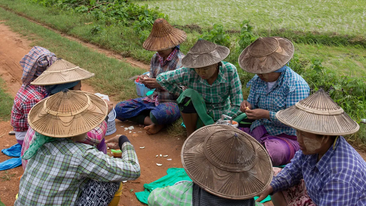 Farm workers in conical hats sharing lunch in the paddy, Burma — Nicolas Marincic
