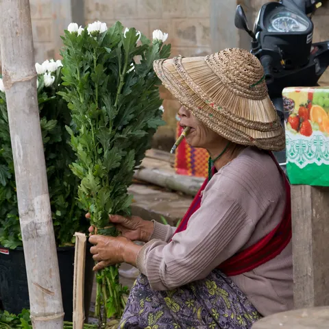 Woman with cheroot and chrysanthemums, Shan market, Burma — Nicolas Marincic
