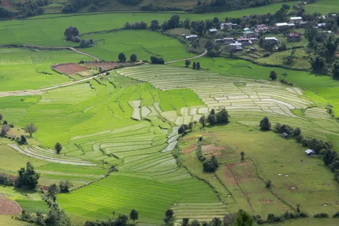Rizières en terrasses dans les collines, Birmanie — Nicolas Marincic