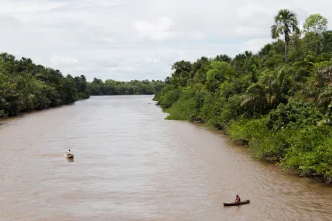 Pirogues sur un bras du fleuve, Brésil — Nicolas Marincic