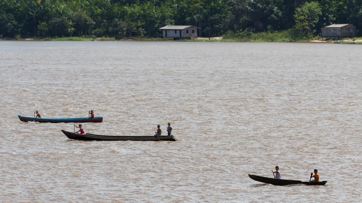 Pirogues sur le fleuve, Brésil — Nicolas Marincic
