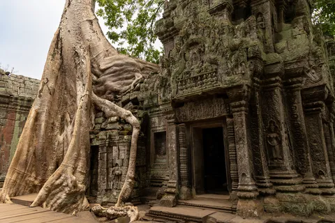 Giant roots over a carved doorway at Ta Prohm, Cambodia — Nicolas Marincic