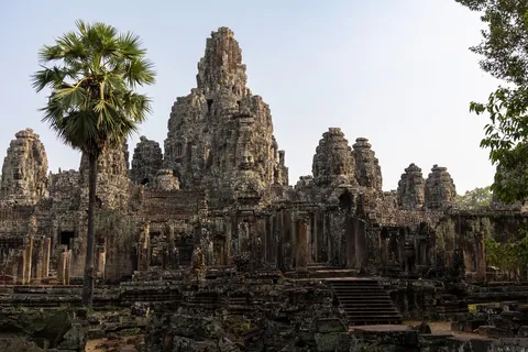 The Bayon and a sugar palm, Cambodia — Nicolas Marincic