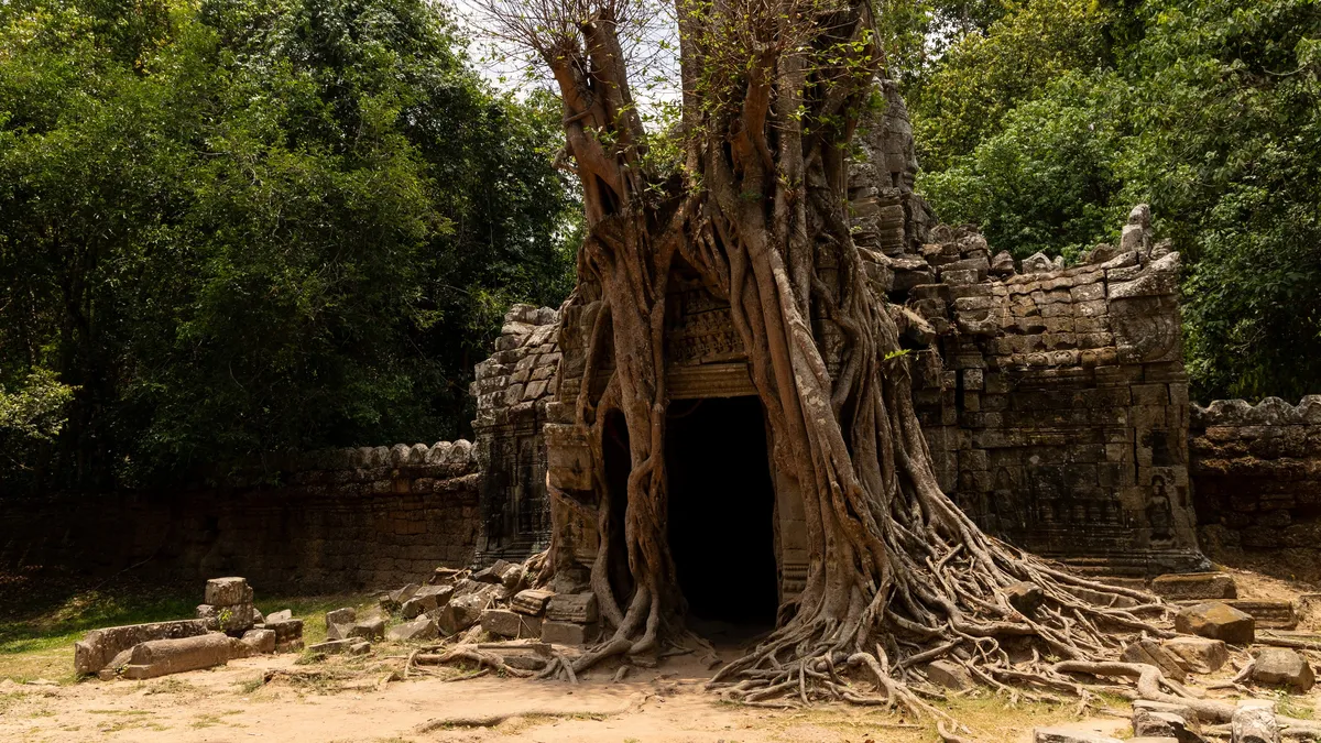 Racines enlaçant une porte de temple, Cambodge — Nicolas Marincic