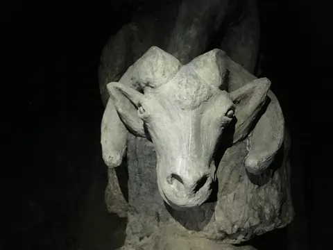 Carved ram in the catacombs, France — Nicolas Marincic