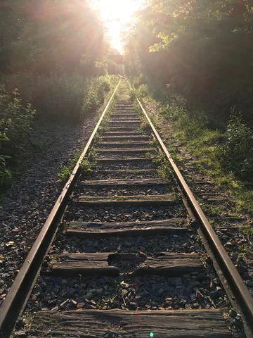 Petite Ceinture tracks leading into the sun, France — Nicolas Marincic