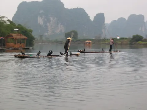 Cormorant fishermen on the Li River, Yangshuo, China — Nicolas Marincic