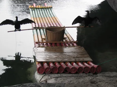 Cormorants spreading wings on a raft, Fubo Hill, China — Nicolas Marincic