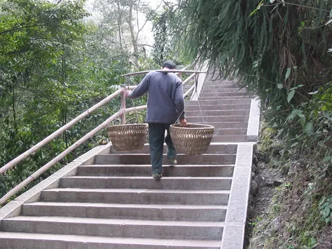 Porter with baskets climbing the steps of Mount Emei, China — Nicolas Marincic