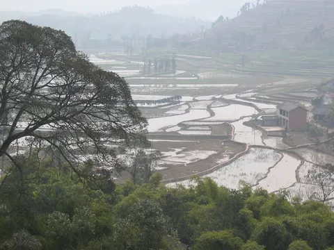 Flooded rice terraces on the road to Dazu, China — Nicolas Marincic