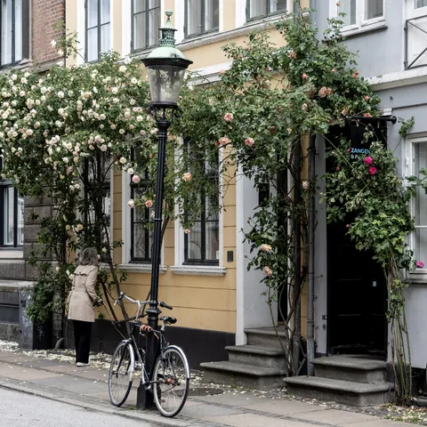 Porte encadrée de roses et vélo, Copenhague, Danemark — Nicolas Marincic
