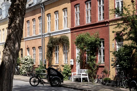 Colourful facades, climbing roses and cargo bike, Copenhagen, Denmark — Nicolas Marincic