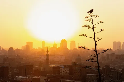 Coucher de soleil sur les toits du Caire, Égypte — Nicolas Marincic