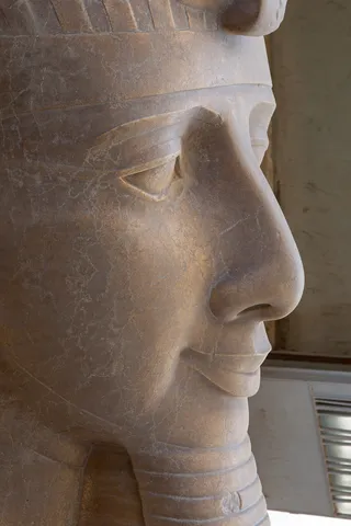 Face of the colossus of Ramesses II, Memphis, Egypt — Nicolas Marincic