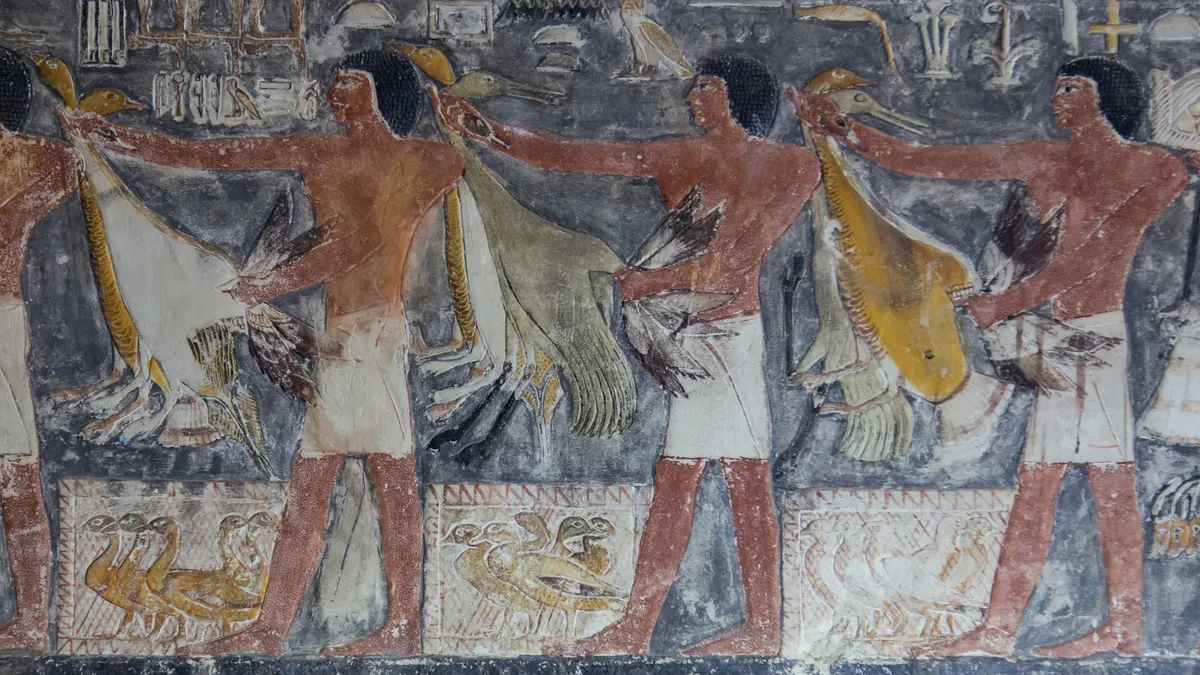 Relief peint d’un mastaba, Saqqarah, Égypte — Nicolas Marincic