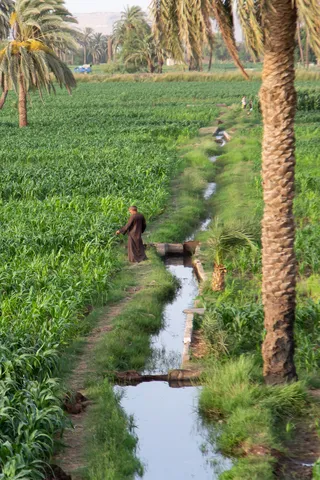 Canal d’irrigation à travers champs, Moyenne-Égypte, Égypte — Nicolas Marincic