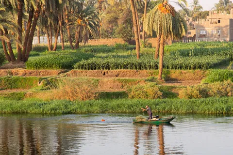 Fisherman among palms on the Nile bank, Egypt — Nicolas Marincic