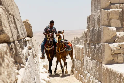 Rider and horses between stone walls, Egypt — Nicolas Marincic