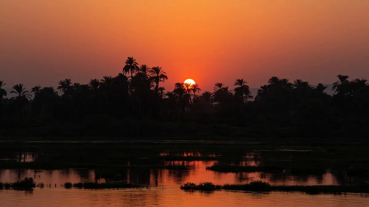 Red sun behind the Nile palms, Egypt — Nicolas Marincic