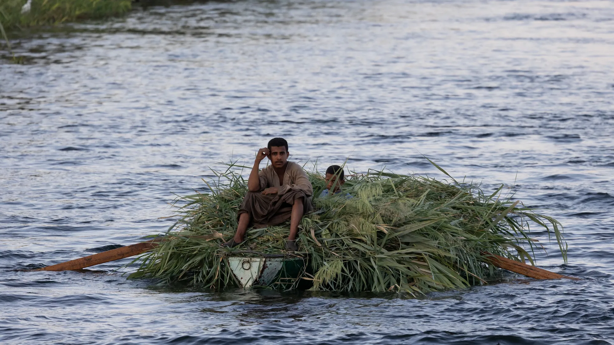 Man rowing a boat laden with fodder on the Nile, Egypt — Nicolas Marincic