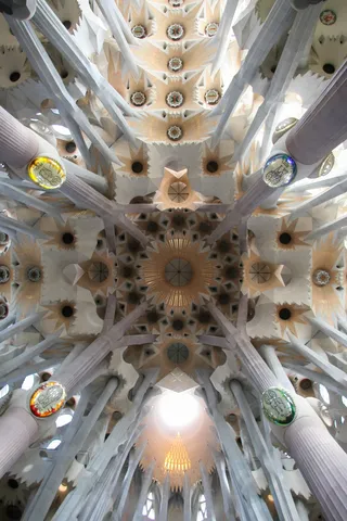 Looking up into the vaults of the Sagrada Família, Barcelona, Spain — Nicolas Marincic