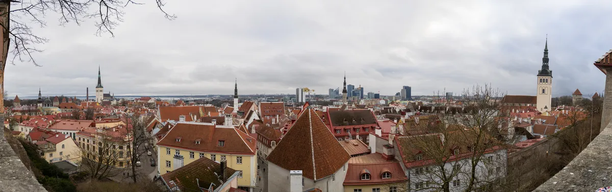 Toits de la vieille ville de Tallinn depuis Toompea, Estonie — Nicolas Marincic