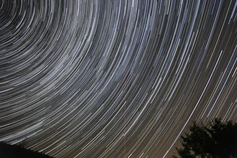 Circular star trails above a tree silhouette, France — Nicolas Marincic