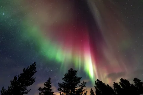 Aurore rouge et verte au-dessus des sapins, Finlande — Nicolas Marincic