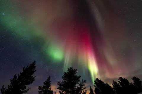 Rideaux d’aurore rouge au-dessus des pins, Finlande — Nicolas Marincic