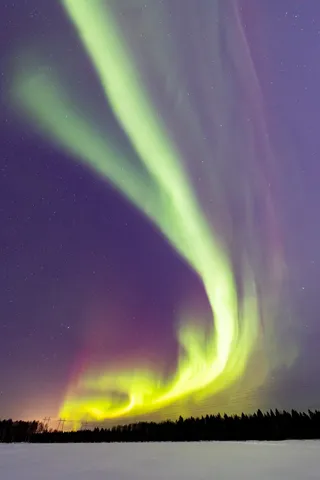 Northern lights above the forest, Finland — Nicolas Marincic