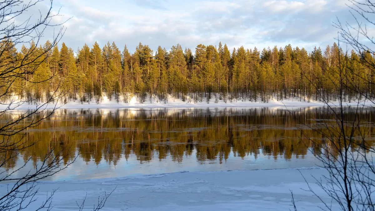 Forêt boréale reflétée dans une rivière, Finlande — Nicolas Marincic